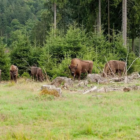 Mill Pond Luxury Escape شقة