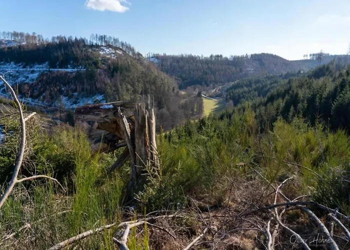 Apartament Mill Pond Luxury Escape Bad Berleburg